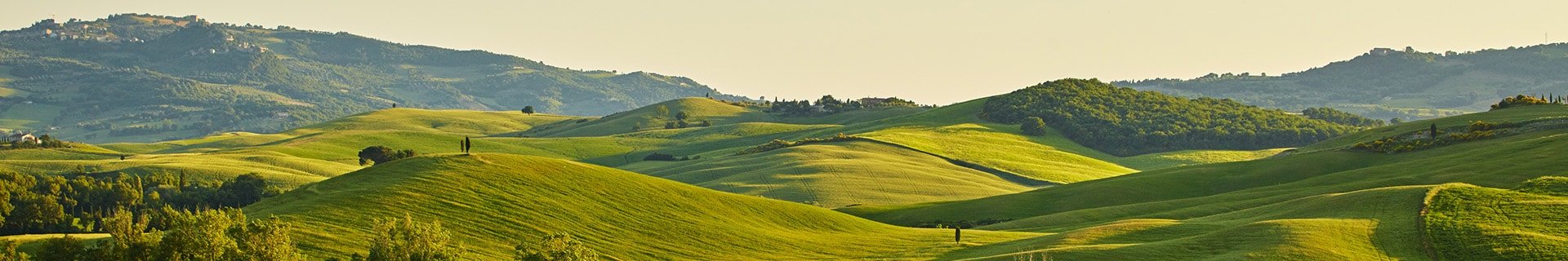Empowering header image Green farmland and forests on rolling hills