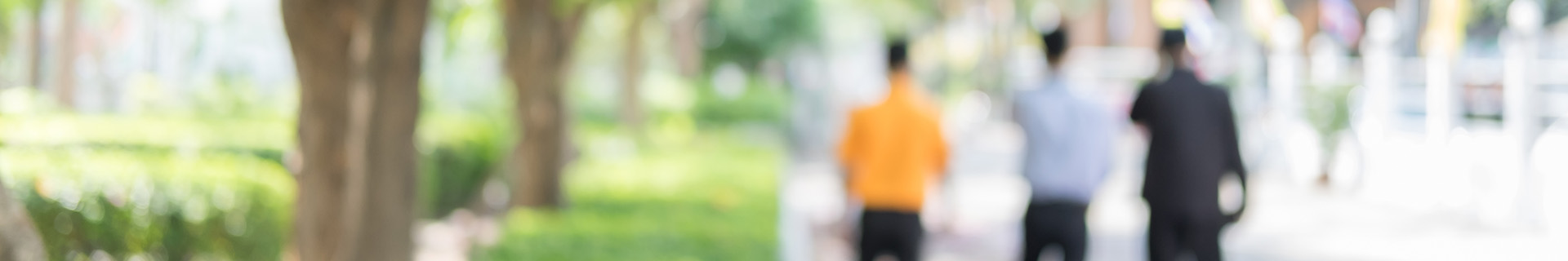 Fixed assets header image Blurred photo of people walking down a sunny street